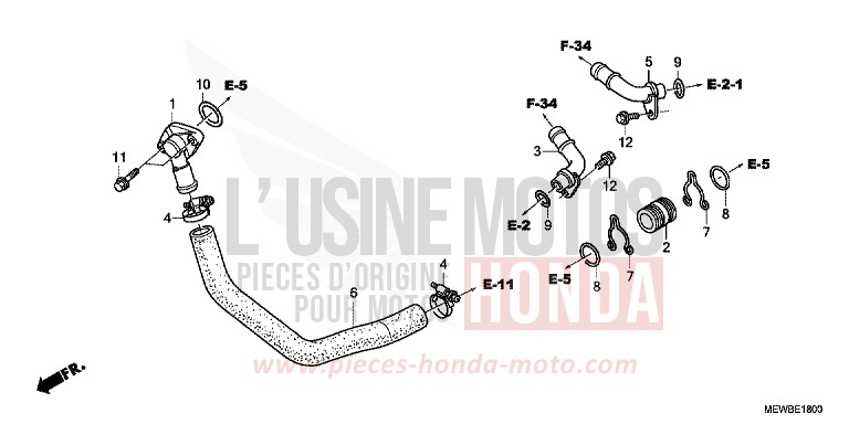 TUYAU D'EAU de Deauville SHASTA WHITE (NH138) de 2011