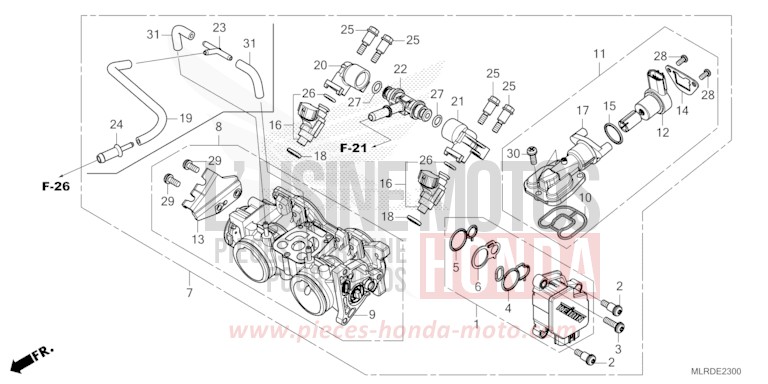 CORPS DE PAPILLON de NX500 PEARL HORIZON WHITE (NHB61) 2025