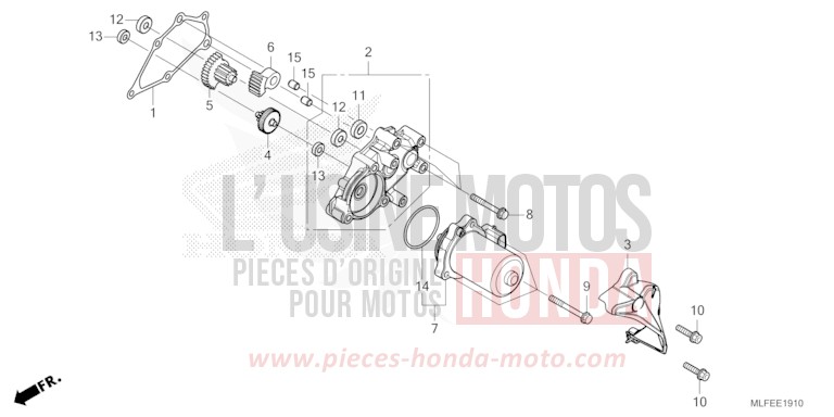 DEMULTIPLICATEUR de NT1100 MAT WARM ASH METALLIC (YR386) de 2025
