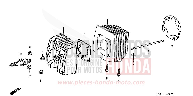 CYLINDRE/CULASSE de Wallaroo GRACIOUS GOLD (YR164) de 1994