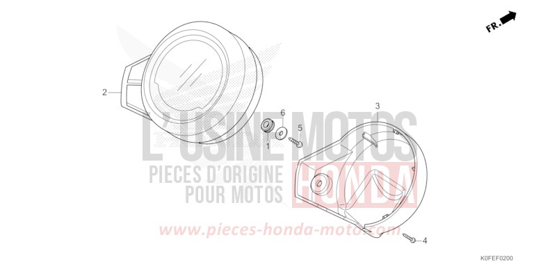 COMPTEUR de Monkey TURMERIC YELLOW (YR344) 2025
