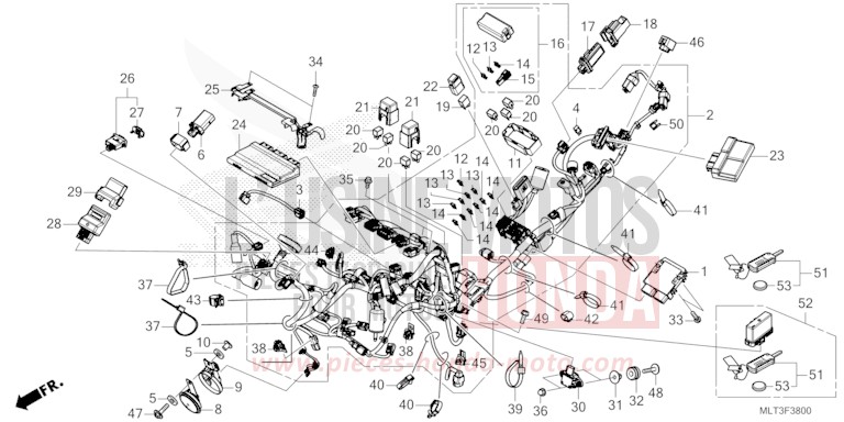 FAISCEAU DES FILS/PORTE-CLE de CB1000GT GRAND PRIX RED (R380) 2026