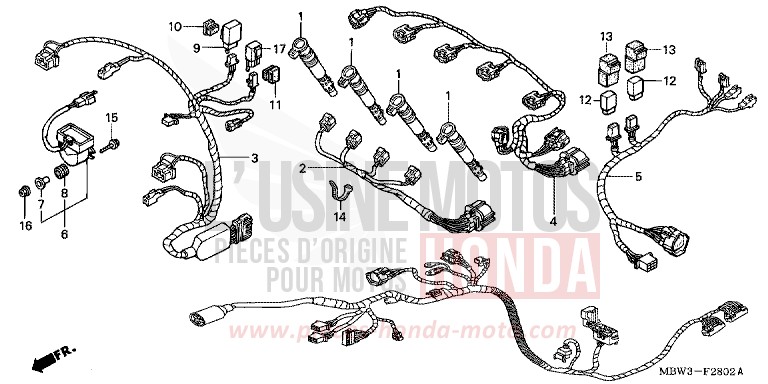 FAISCEAU SECONDAIRE de CBR600F SPARKLING RED (R127) de 2001
