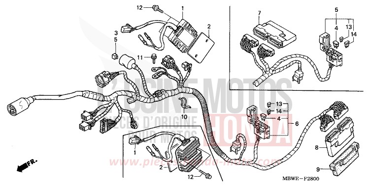 FAISCEAU DES FILS de CBR600F ITALIAN RED (R157) de 2004