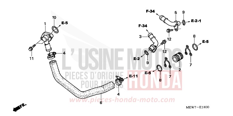 TUYAU D'EAU de Deauville SHASTA WHITE (NH138) de 2010
