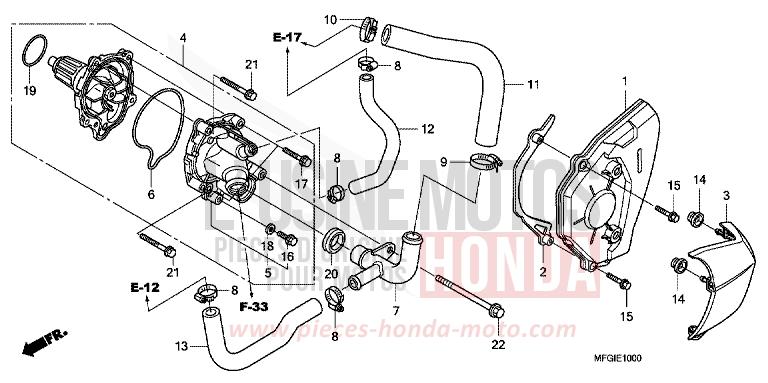 POMPE A EAU de Hornet PEARL COOL WHITE (NHA16) 2010