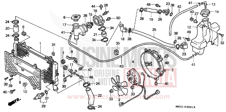 RADIATEUR (CBR1000FK) de CBR1000F PEARL CRYSTAL WHITE (NH193K) 1989