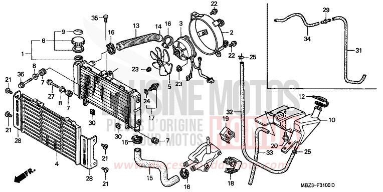 RADIATEUR de Hornet PEARL SHINING YELLOW (Y124) 1999