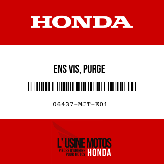 image de 06437-MJT-E01 ENS VIS, PURGE