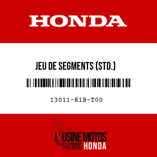 image de 13011-K1B-T00 JEU DE SEGMENTS (STD.)