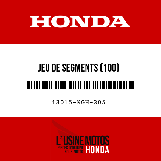 image de 13015-KGH-305 JEU DE SEGMENTS (100)