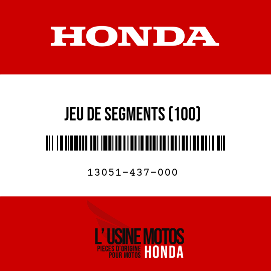 image de 13051-437-000 JEU DE SEGMENTS (100)