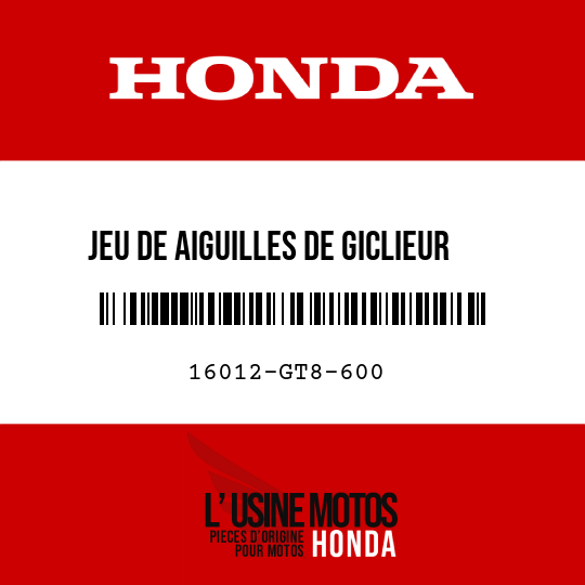 image de 16012-GT8-600 JEU DE AIGUILLES DE GICLIEUR