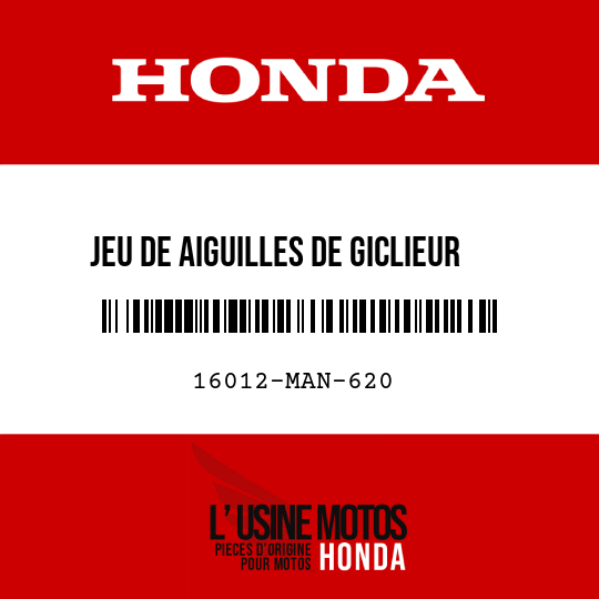 image de 16012-MAN-620 JEU DE AIGUILLES DE GICLIEUR