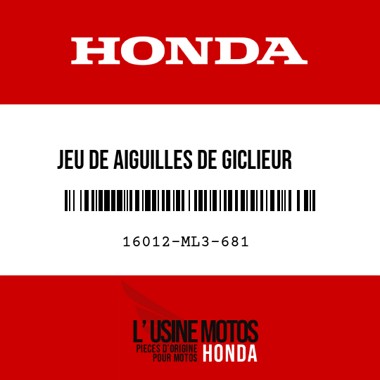 image de 16012-ML3-681 JEU DE AIGUILLES DE GICLIEUR (R1370NS)
