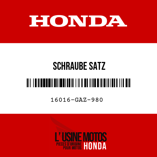 image de 16016-GAZ-980 SCHRAUBE SATZ