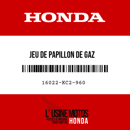 image de 16022-KC2-960 JEU DE PAPILLON DE GAZ