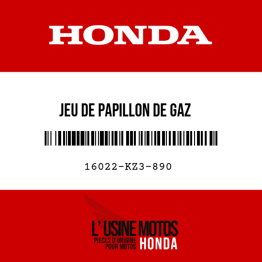 image de 16022-KZ3-890 JEU DE PAPILLON DE GAZ