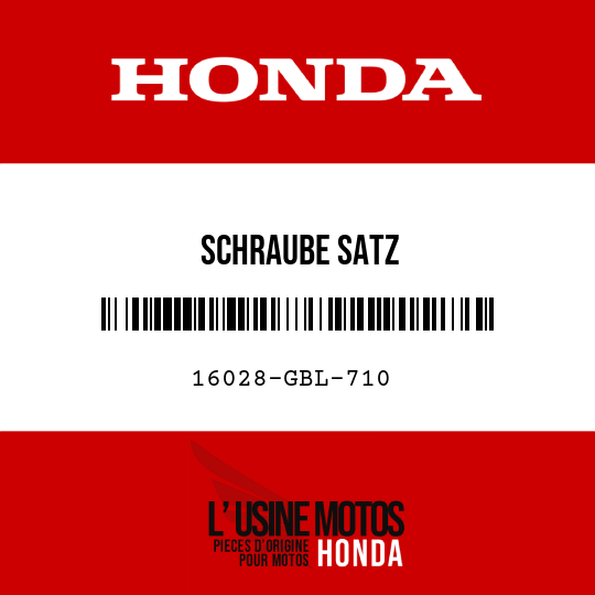 image de 16028-GBL-710 SCHRAUBE SATZ