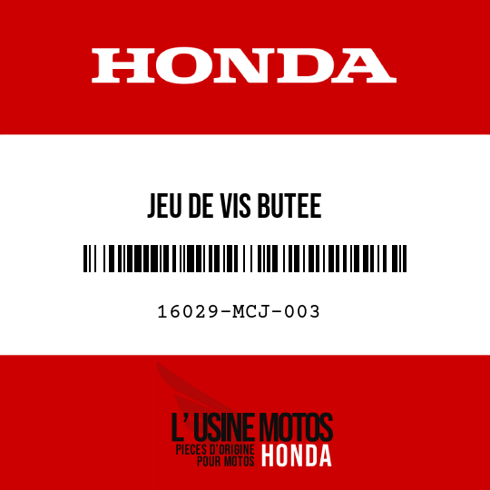 image de 16029-MCJ-003 JEU DE VIS BUTEE