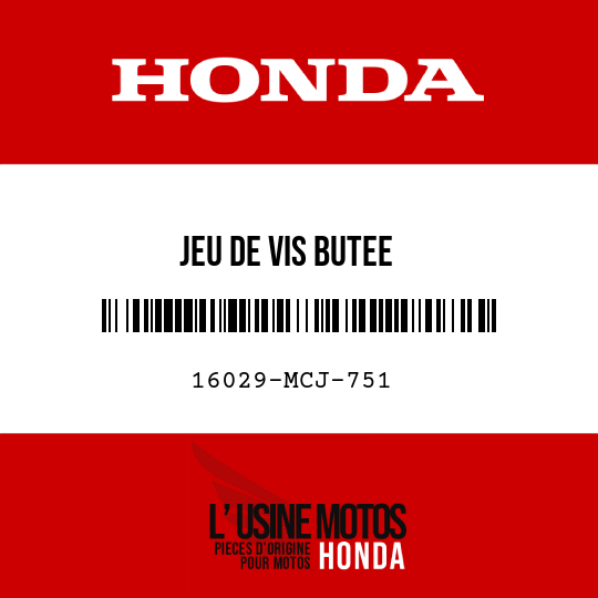 image de 16029-MCJ-751 JEU DE VIS BUTEE