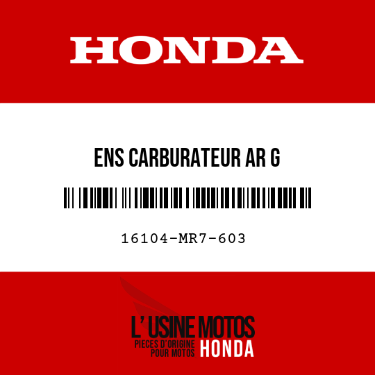 image de 16104-MR7-603 ENS CARBURATEUR AR G