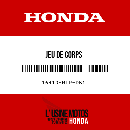 image de 16410-MLP-DB1 JEU DE CORPS