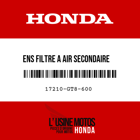 image de 17210-GT8-600 ENS FILTRE A AIR SECONDAIRE