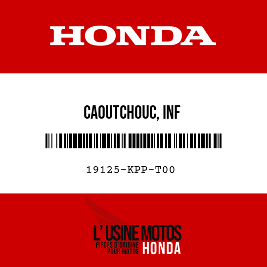 image de 19125-KPP-T00 CAOUTCHOUC, INF