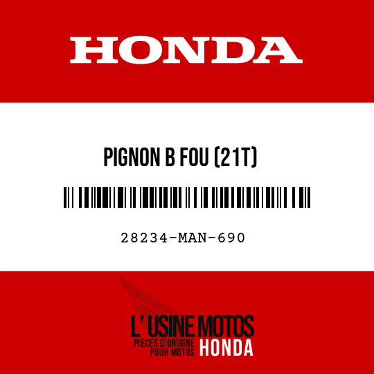 image de 28234-MAN-690 PIGNON B FOU (21T)