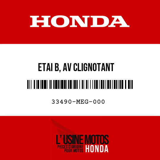 image de 33490-MEG-000 ETAI B, AV CLIGNOTANT