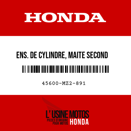 image de 45600-MZ2-891 ENS. DE CYLINDRE, MAITE SECOND (NISSIN)