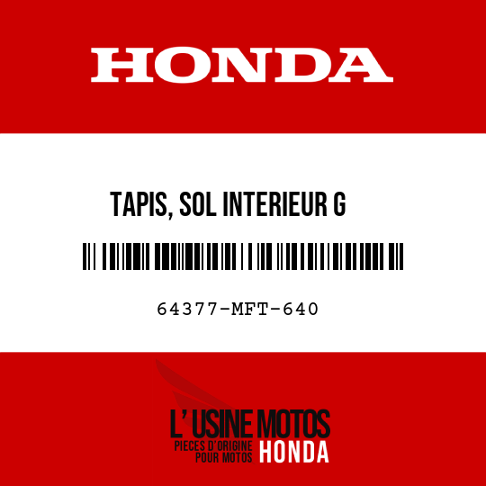 image de 64377-MFT-640 TAPIS, SOL INTERIEUR G