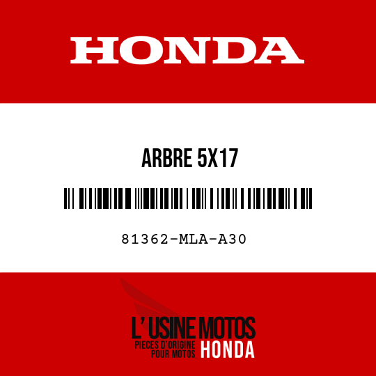 image de 81362-MLA-A30 ARBRE 5X17