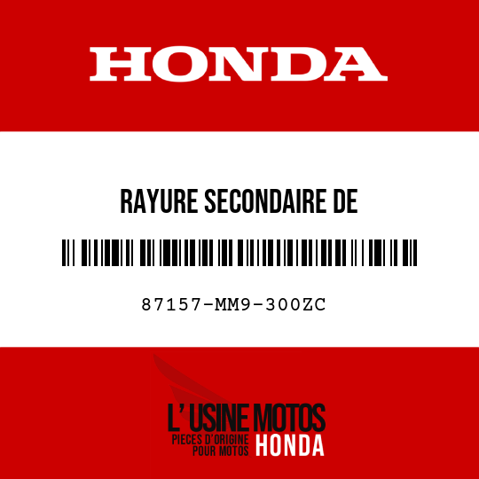 image de 87157-MM9-300ZC RAYURE SECONDAIRE DE RESERVOIRD'ESSENCE AR () TYPE3