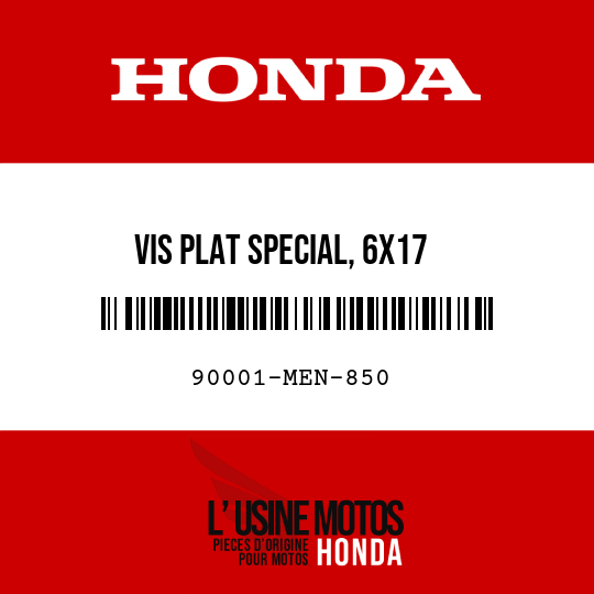 image de 90001-MEN-850 VIS PLAT SPECIAL, 6X17