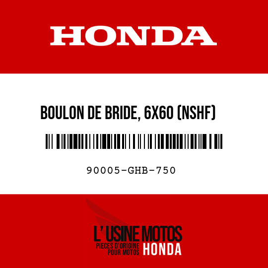 image de 90005-GHB-750 BOULON DE BRIDE, 6X60 (NSHF)