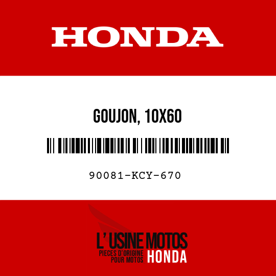 image de 90081-KCY-670 GOUJON, 10X60
