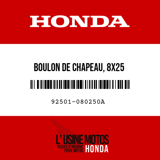 image de 92501-080250A BOULON DE CHAPEAU, 8X25
