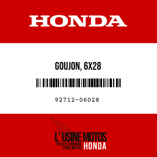 image de 92712-06028 GOUJON, 6X28