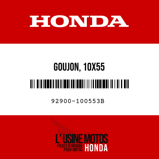 image de 92900-100553B GOUJON, 10X55