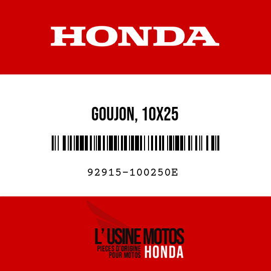 image de 92915-100250E GOUJON, 10X25