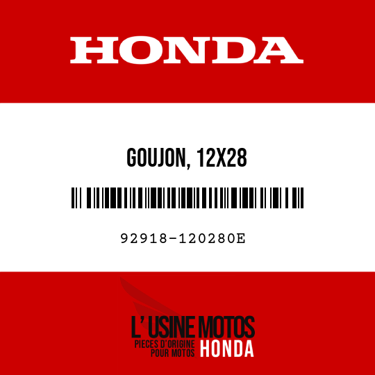 image de 92918-120280E GOUJON, 12X28