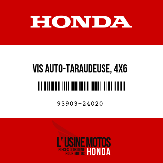 image de 93903-24020 VIS AUTO-TARAUDEUSE, 4X6