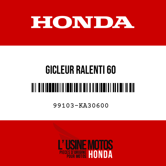 image de 99103-KA30600 GICLEUR RALENTI 60