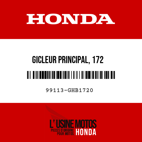 image de 99113-GHB1720 GICLEUR PRINCIPAL, 172
